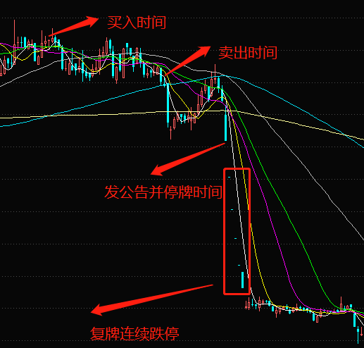 白水洋天气评测3